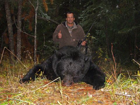 Trophy Quality Black Bear in British Columbia