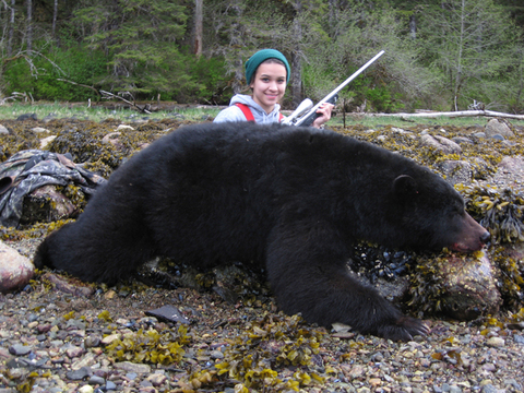 Alaska Coastal Black Bear on Prince of Wales Island
