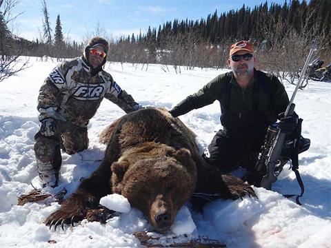 Interior Grizzly Bear Hunt by Jet Boat, Argo or Snowmobile