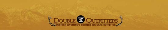 DoubleYLogo
