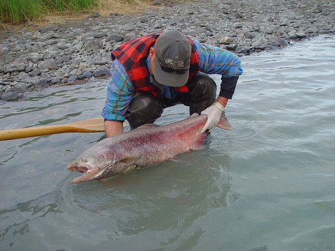Alaska Helicopter/Jet Boat Fishing and Eco Tours