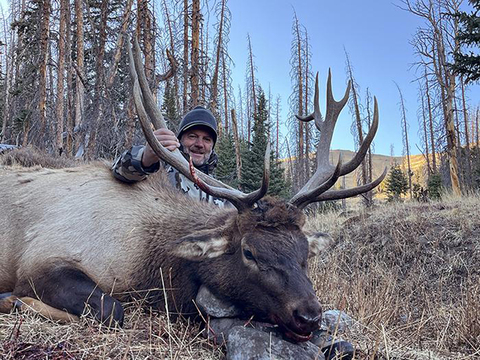 Wyoming Wilderness Elk Hunt Units 54, 56, 61 and 62