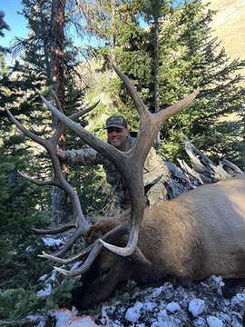 Wyoming Wilderness Elk Hunt Units 54, 56, 61 and 62