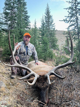 Wyoming Wilderness Elk Hunt Units 54, 56, 61 and 62