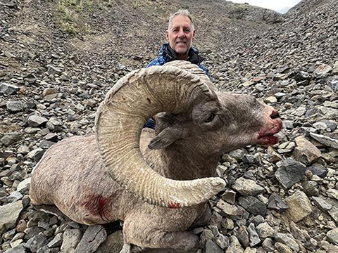 Wyoming Rocky Bighorn in the Washakie Wilderness