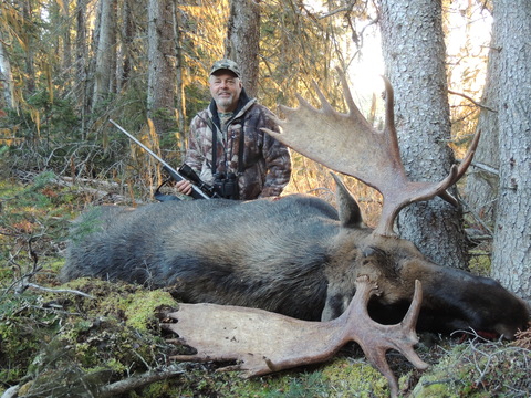 Trophy Canadian Moose Hunt in British Columbia