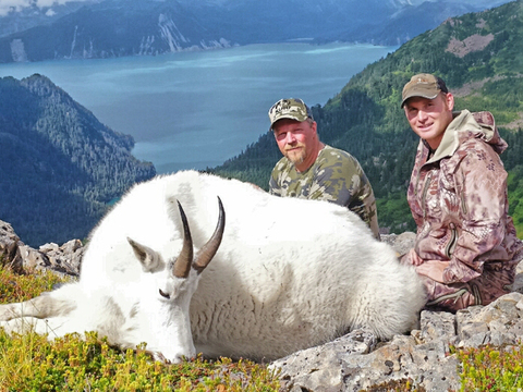 Kenai Peninsula Alaska Mountain Goat 