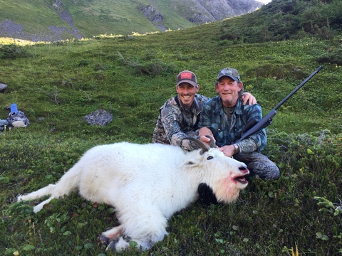 Kenai Peninsula Alaska Mountain Goat 