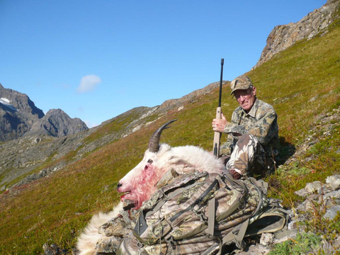 Kenai Peninsula Alaska Mountain Goat 