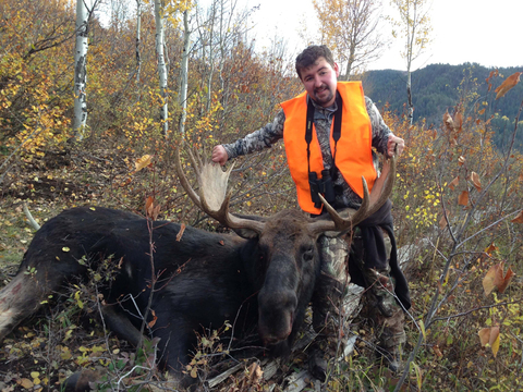 Wyoming Shiras Moose in Unit 20