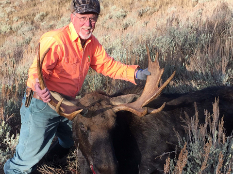 Wyoming Shiras Moose in Unit 20
