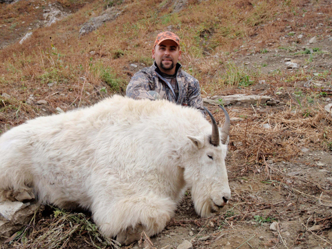 Wyoming Unit 2 Mountain Goat 