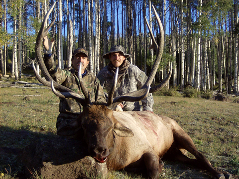 Utah Manti and Book Cliffs Trophy Elk Hunts