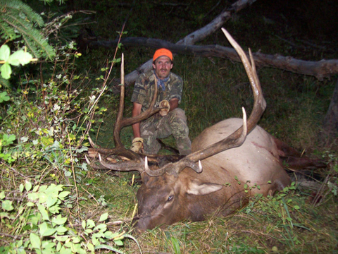 Utah Manti and Book Cliffs Trophy Elk Hunts