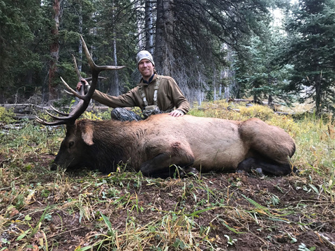 Colorado Gunnison Basin OTC Elk Hunt