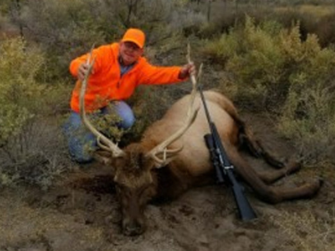Colorado Gunnison Basin OTC Elk Hunt