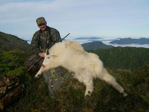 Alaska Over the Counter Mountain Goat Hunt