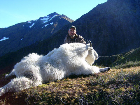 Alaska Over the Counter Mountain Goat Hunt