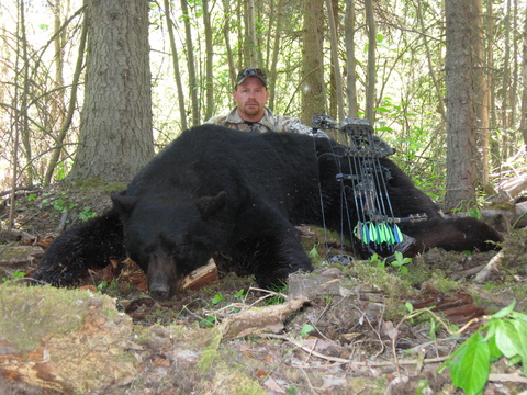 Trophy Quality Black Bear in British Columbia