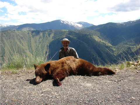 Idaho Black Bear over Bait or behind Hounds