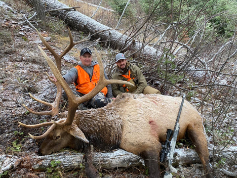 Montana Quality Elk/Deer Combo Hunt