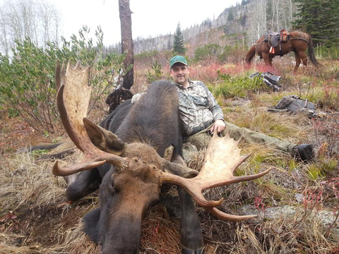 Idaho High Draw Odds Back Country Moose Hunt