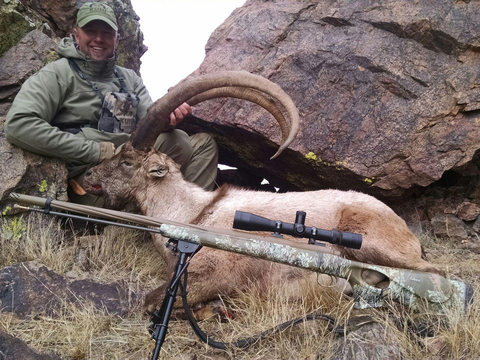 New Mexico Trophy Persian Ibex