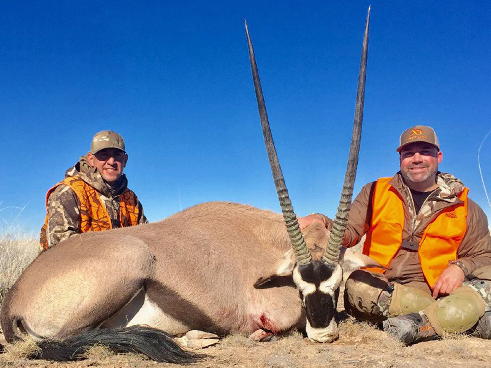 New Mexico On and Off Range Oryx Hunts