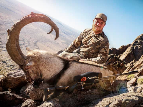 New Mexico Trophy Persian Ibex