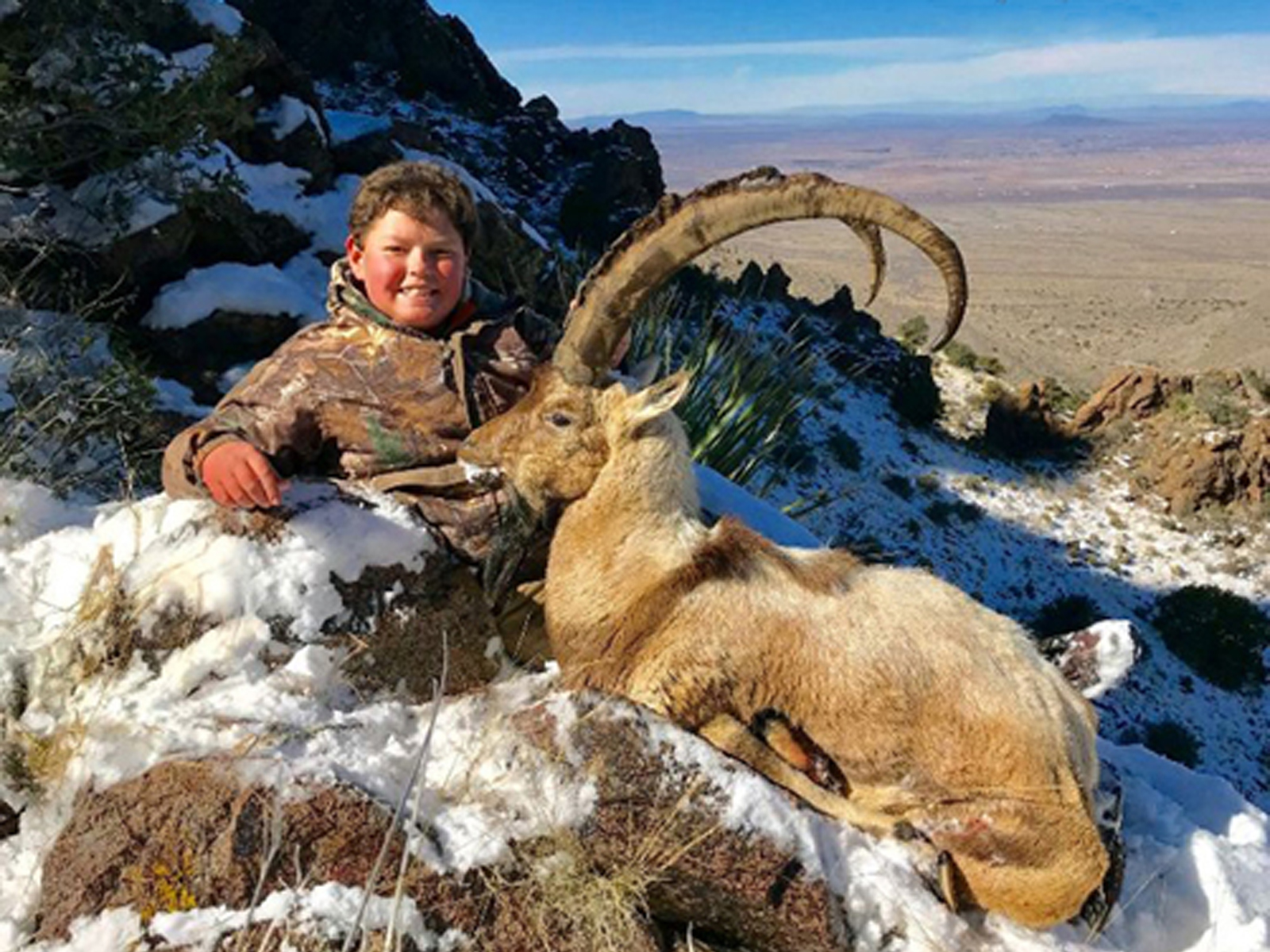 New Mexico Trophy Persian Ibex