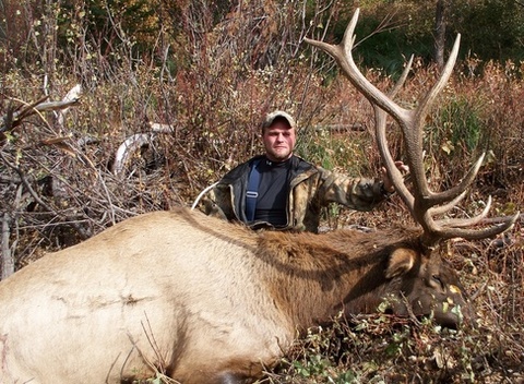Idaho Backcountry /Wilderness type elk hunt
