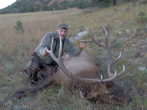 New Mexico Private Land Elk Hunt Guaranteed Tags