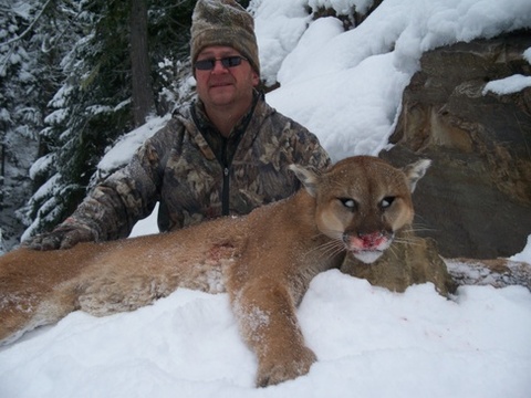 Idaho Cougar Hunt