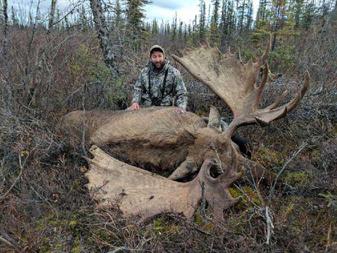 Interior or Coastal Alaska Trophy Moose Hunt