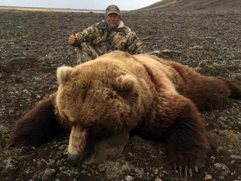 Alaskan Coastal Brown Bear with a Deluxe Yaht Option