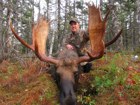 Newfoundland Eastern Canadian Moose Hunt