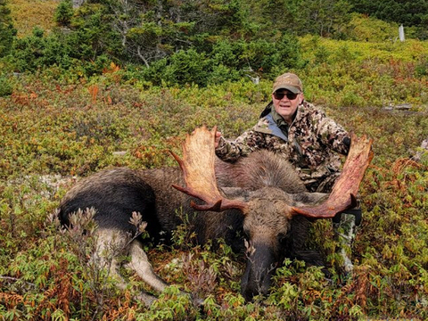 Newfoundland Eastern Canadian Moose Hunt
