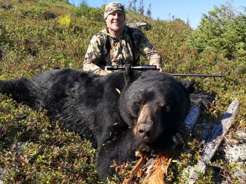 Newfoundland Giant Black Bear