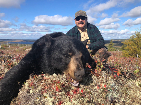 Newfoundland Giant Black Bear