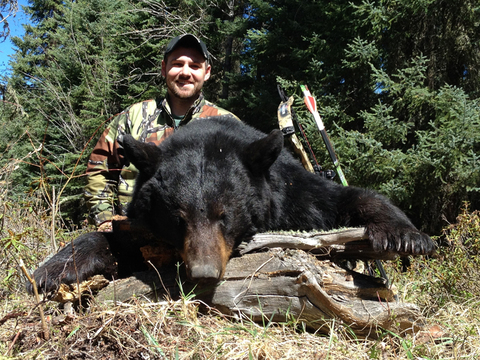 Giant Black Bears in Alberta