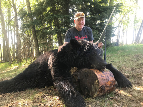 Giant Black Bears in Alberta