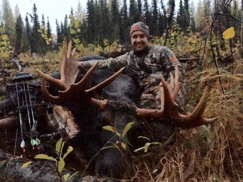 Alberta Canadian Moose