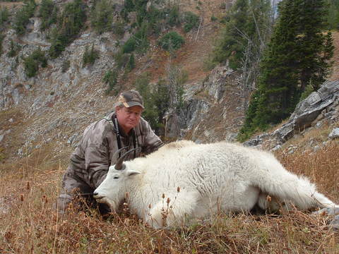 Utah Back Country High Uintas Mountain Goat Hunt