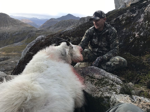 Kodiak Island Mountain Goat Hunts