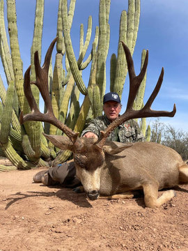 Trophy Class Mexico Mule Deer Hunt