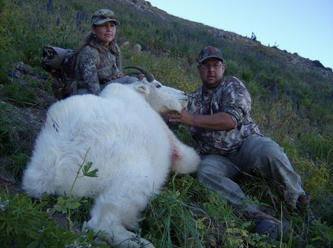 Utah Back Country High Uintas Mountain Goat Hunt