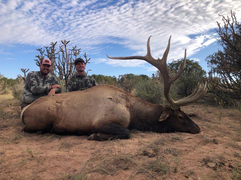 New Mexico Trophy Elk Hunts - Units 16A, 16D, 17, 34 and 36
