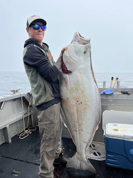Ketchikan Alaska Halibut, Cod and Sea Run Salmon