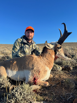 Wyoming Boone & Crockett Class Pronghorn on Private Land