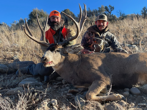 Colorado Trophy Quality Mule Deer